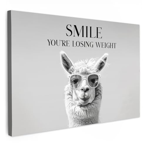 MuchoWow© Impression sur Toile Photo Peinture 30x20 cm Tableau Decoration Murale Chambre Salon Maison Deco Cuisine Citations - Lama - Sourire - Toilette - Gris