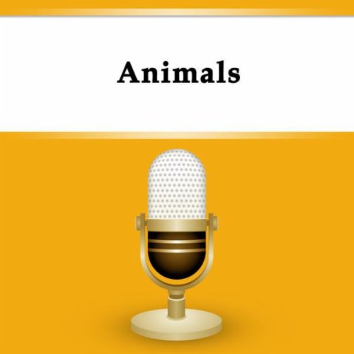 Animals Nippon Broadcasting System Digital Music