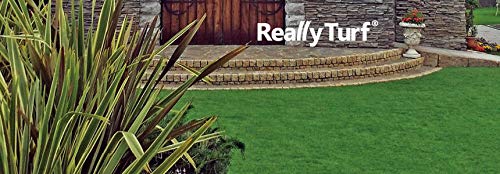 リアリーターフ　ReallyTurf 人工芝 25mm 1m×10m Amazon | 人工芝 リアリーターフ（パイル25mm）1m×10m | 人工芝