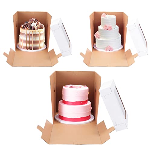 Aggregate 144+ cake carrier best kidsdream.edu.vn