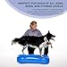 FitPAWS® K9FITbone® - Giant, Blue | Dog Balance Training Platform & Exercise Equipment | Workout Tool for Strength, Core & Stability