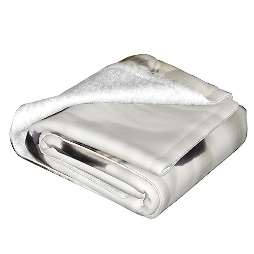 Couverture flanelle imprimé chien pour accompagner vos voyages et salons