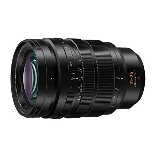 Panasonic Lumix G Leica DG 10-25mm Lens