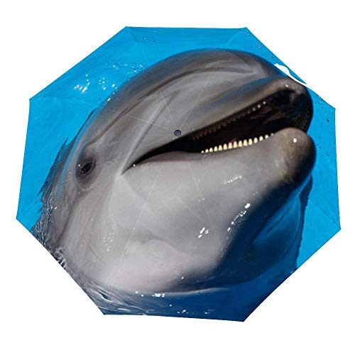 Preisvergleich Produktbild Faltschirm Niedlicher Delphin Im Pool Regenschirm Offen Schließen Winddichter Regenschirm Leichte kompakte Sonnenschirme Sonne & Regen