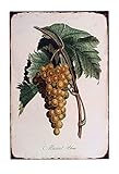 Letrero de lata de uvas botánicas, letrero de decoración de granja de campo primitivo, decoración de pared para el hogar, bar, decoración de pared Jsbz-0378, póster de metal de 8 x 12 pulgadas