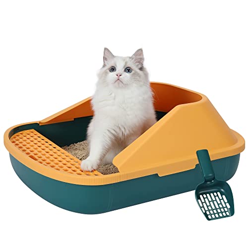 12 Best Cat Litter Boxes For Your Senior Cat