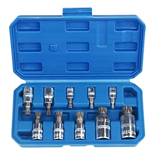 DAYUAN Spline Socket Bit Set 10pcs Square Triple Silver M4 - M18
