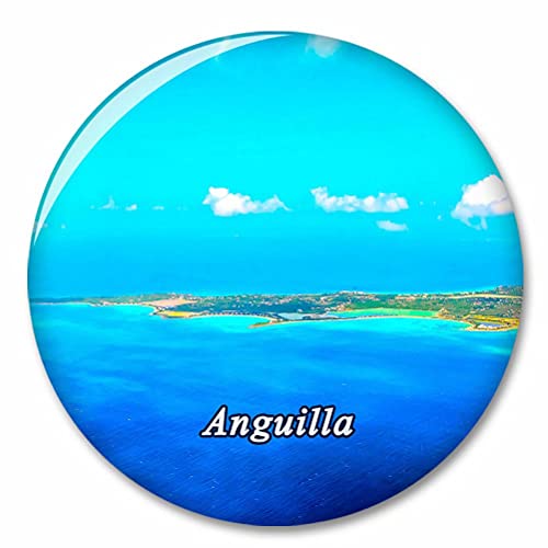 Imán decorativo abridor de botellas Anguilla para refrigerador miniatura 1