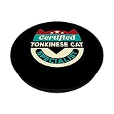 Zoom IMG-1 certificato tonkinese cat specialist mom Zoom IMG-1 certificato tonkinese cat specialist mom