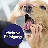 Zahnpflegespray für Hunde Nahrungsrest Geruch