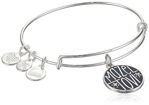 Alex and Ani Womens Mazel Tov EWB Bangle Bracelet, Shiny Silver, Expandable