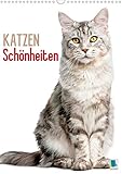 14 Seiten bestehend aus 1 Coverbild | 12 Monatsbilder | 1 Indexseite. Inklusive Papprücken hinten und vorderseitig einer Klarsichtfolie.