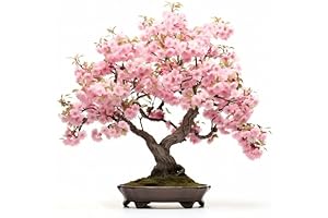 Bonsai Tree Seeds for Cherry Blossom Enthusiasts