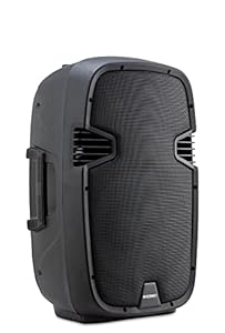 McGrey P212 MP 12-Zoll Passiv-Lautsprecher Schwarz