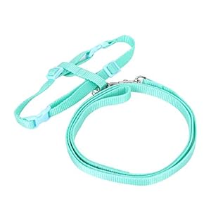 Kleine huisdier harnas en riem set schattig konijn lijn riem cyaan chinchilla cavia hamster (44.09×4.53×0.39in)