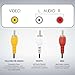 Newhouse Hardware 6ft 3-RCA Male-to-Male Cable RCA6-01, Male-to-Male Extension Cord AV Cable is Compatible with HDTV, DVD, VHS, VCR, Video Converter, Amplifier, Gaming Console, and Set-Top Box