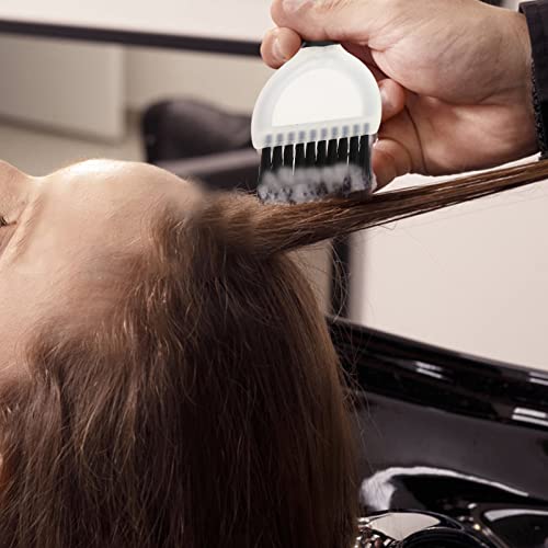 FOMIYES 4 Pcs Pente De Tintura De Cabelo e Escova De Óleo Pó Descolorante Bw2 Tingir Escova De Cabel