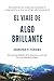 EL Viaje Algo Brillante: Descubriendo una verdad que sobrepasa la comprensi&Atilde;&sup3;n y un amor por el que vale la pena morir; De las profundidades de la depresi&Atilde;&sup3;n hacia una vida llena de gozo abundante