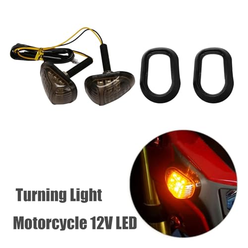 Clignotant LED moto 12V à forte luminosité MSX 125 - 3