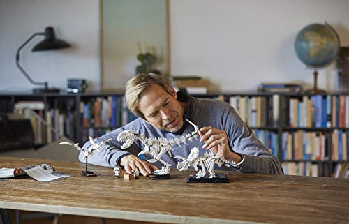 LEGO Ideas 21320 - F�siles de dinosaurio