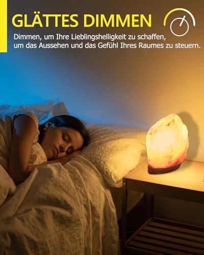 Bonlux Leuchtmittel E14 10W Backofenlampe T22 Kühlschrank Glühbirne T20 Salzlampe Birne Dimmbar Salzkristalllampe Glühbirne 10 Watt Scentsy Birne 300 Grad Ofenbirne 220-240V Warmweiß 2700K 4 Stück