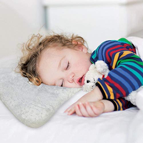 GENERAL ARMOR Toddler Pillow Baby Kid Breathable with Pillowcase