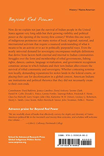 Beyond Red Power: American Indian Politics and Activism since 1900 (School for Advanced Research Global Indigenous Politics Series) - Image 2