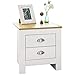 SoBuy szafka nocna z 2 szufladami nowoczesna stolik nocny FBT86-W