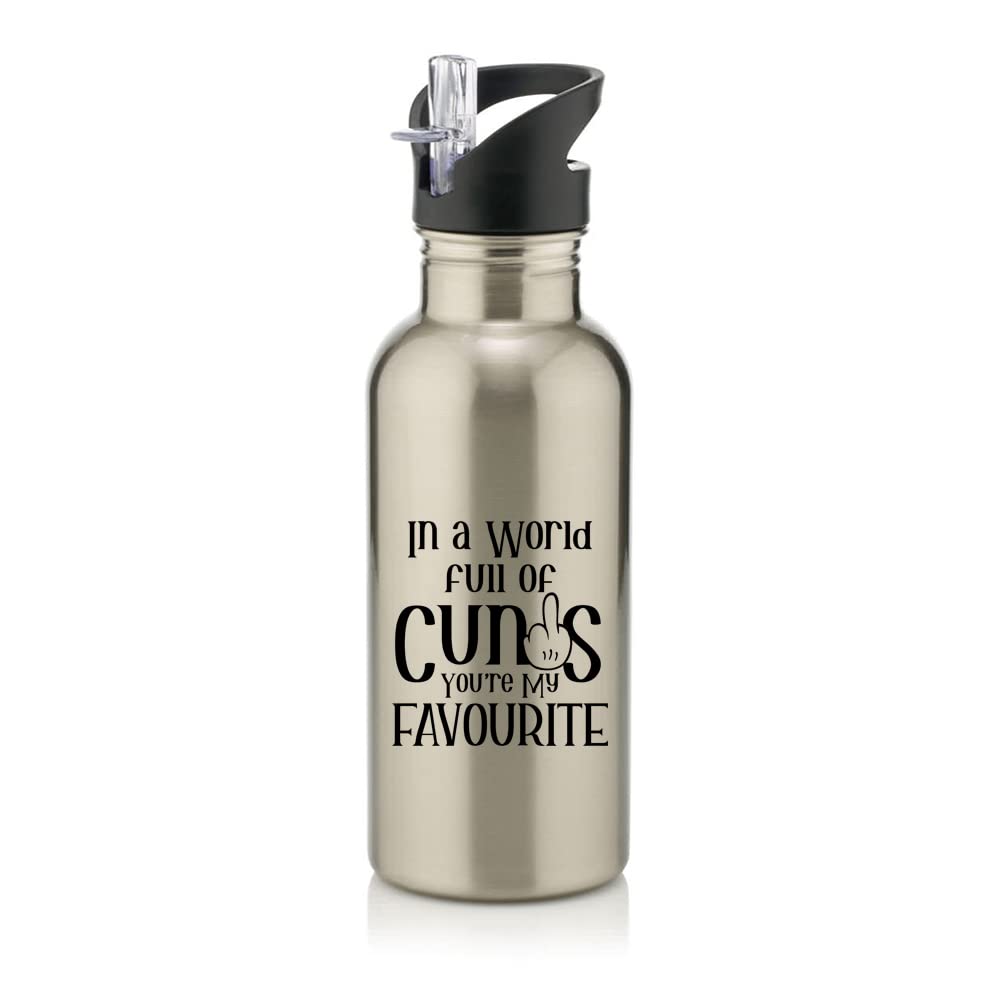 Getagift In a World Full Of Cunts You Are My Favourite Birthday, Christmas, Secret Santa Stainless Steel 600ml Water Bottle with Straw. (Silver)