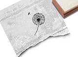 zAcheR-fineT-design