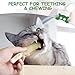 Nocciola 3 Pack Catnip Toys for Cats, Funny Cat Toys Filled with 100% Pure Organic Catnip, Safe Kitten Teething Chew and Kicker Toys, Stress Relieving Fun for Indoor Cats