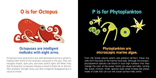 ABCs of Oceanography: Learn about Sea Creatures, Marine Biology, and More with this Essential Ocean Board Book from the #1 Science Author for Kids (Baby University) - Image 9