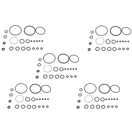 Image of BLUESUNSOLAR 5Sets /110Pcs O-Ring Complete Rebuild Kits 246355 Replacement for Graco Fusion Air Purge AP Spray Gun (5Sets)
