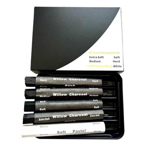 Charcoal Drawing Set Charcoal Sticks Artist Charcoal Pencils Water Soluble Charcoal Strips for Drawing Sketching Shading