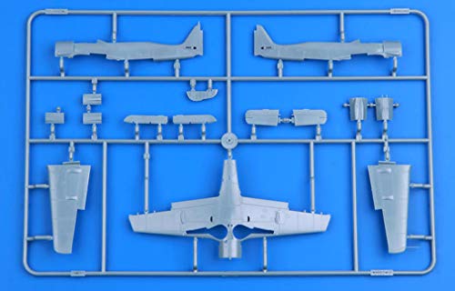 Unbekannt- Modellino Fw 190A-8 W/Universal Wings