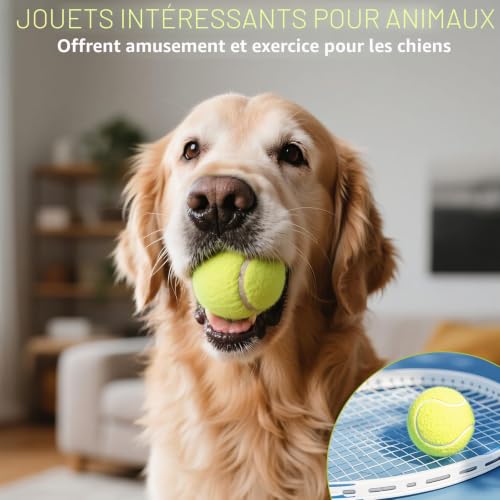 Vignette produit