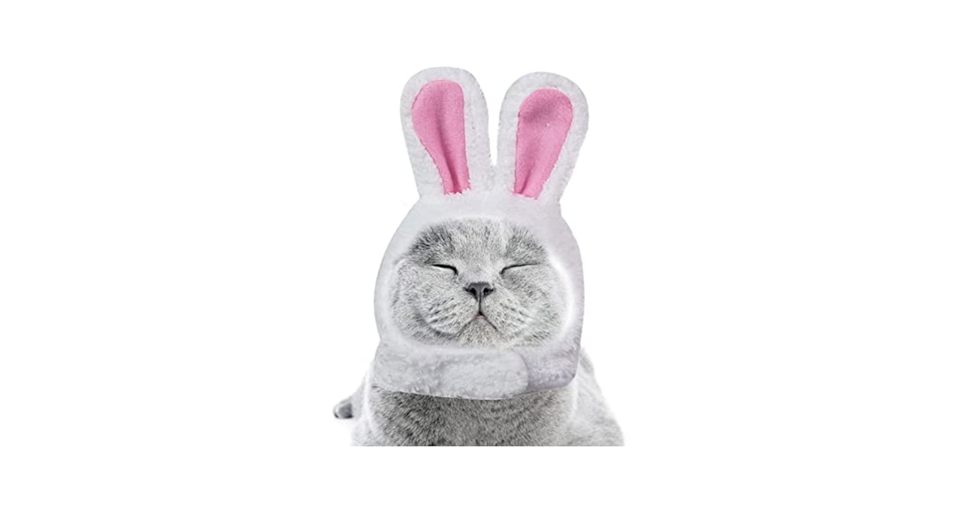 七田式脳力開発CD うさぎ　ねこ　いぬ　全36冊セット　まとめ売り　レア 七田式脳力開発CD うさぎ ねこ いぬ 全36冊セット まとめ売り レア