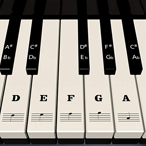 Piano Stickers for Keys - White & Black Piano Keyboard Stickers For 37/49/54/61/88