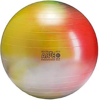 Gymnic Arte Plus Burst-Resistant Exercise Ball (65 cm)