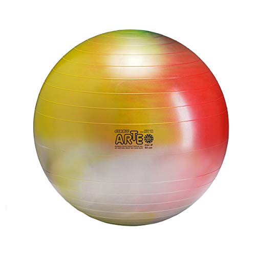 Gymnic Arte Plus Burst-Resistant Exercise Ball (65 Cm) #TOP4