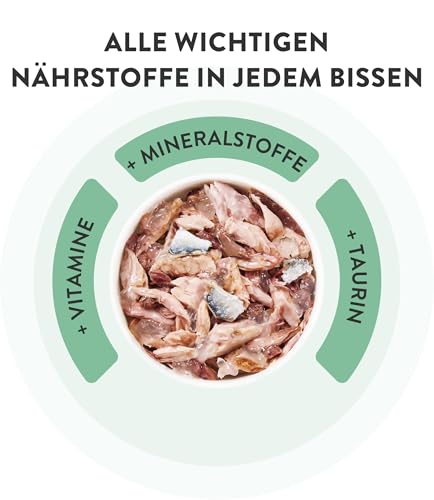 Schesir, Bonito in Gelee, Vollwertiges Nassfutter für Katzen, In Dose, Mit Zugesetzten Vitaminen, 100% Natürliche Filets, Cruelty-Free… – Ansicht 5