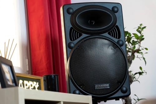 Altavoz Bluetooth profesional DYNASONIC DYNAPRO 10 Plus con sonido nítido de alta potencia 500W 4