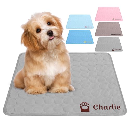 Tappetino Refrigerante per Cani personalizzato Taglia Media Tappetino Rinfrescante per Gatti Nome personalizzato Impermeabile Antiscivolo Tappeto Refrigerante Cane per Viaggio Auto Cuccia Casa