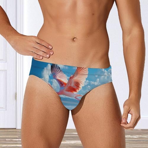Flamingo Flying Over Lake Mens Swim Briefs Sexy Bikini Swimwear Bathing Suits Trunks4