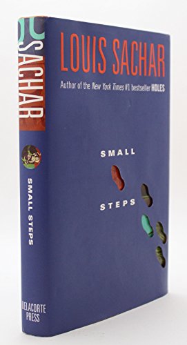 Small Steps view 2