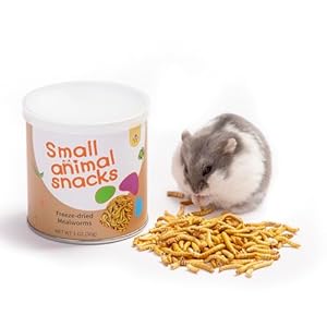 Niteangel Small Animal Snack & Treats Toy – Small Critter Natural Treat for Dwarf Syrian Robo Hamsters Gerbils Mice Lemmings Sugar Glider Hedgehogs Chickens Birds or Other Small-Sized Pets