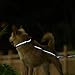 Hyhug Design, Martingale Nylon Klassische Halsbänder ,Anti-Flucht Hundehalsband. 3M Reflektierender Streifen, Komfortabel Verstellbar, Sicherer Nachtspaziergang, Hunde-ID-Tag-Montageloch