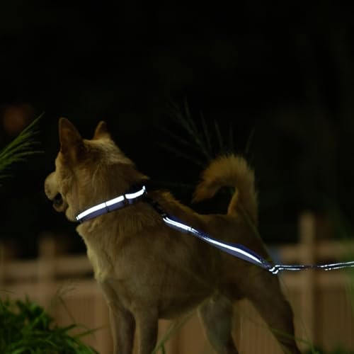 Hyhug Design, Martingale Nylon Klassische Halsbänder ,Anti-Flucht Hundehalsband. 3M Reflektierender Streifen, Komfortabel Verstellbar, Sicherer Nachtspaziergang, Hunde-ID-Tag-Montageloch