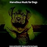 Hanover Tapes