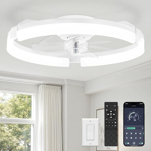 LEDIARY 20' Ceiling Fans with Lights and Remote, Modern Low Profile Ceiling Fan, 3 CCT, Stepless...